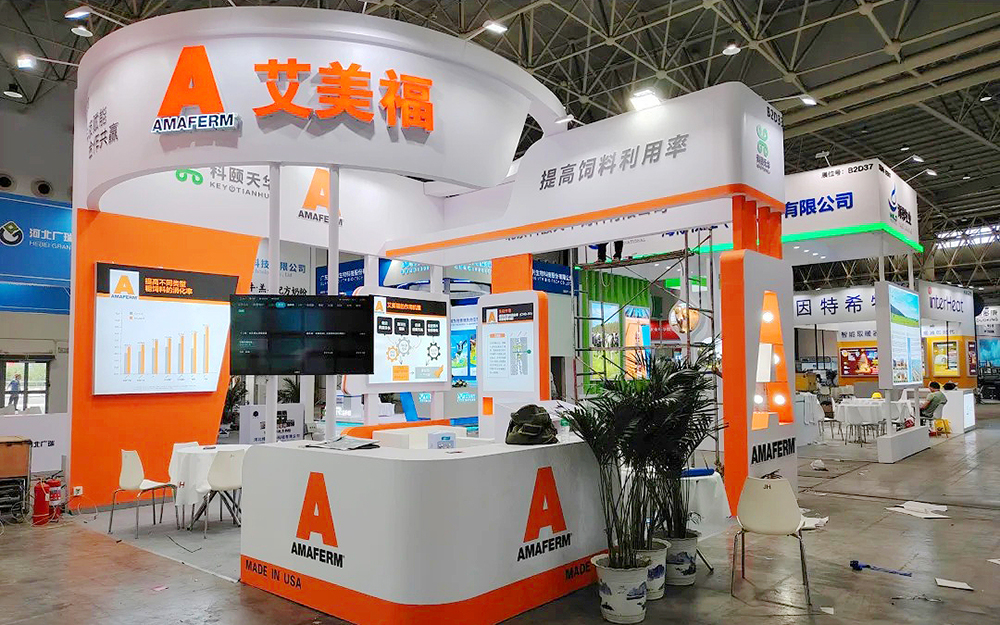 会展搭建